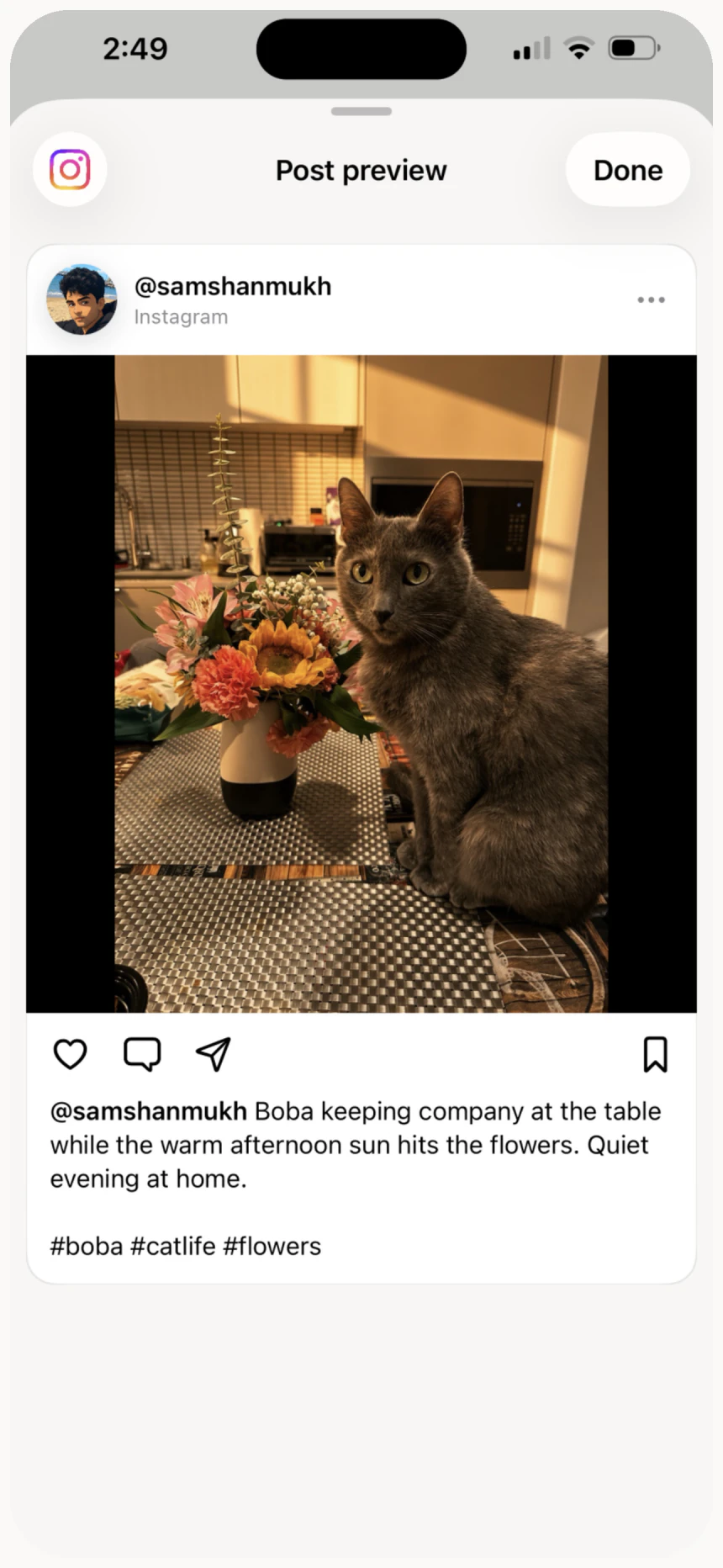 Instagram post preview in Zup