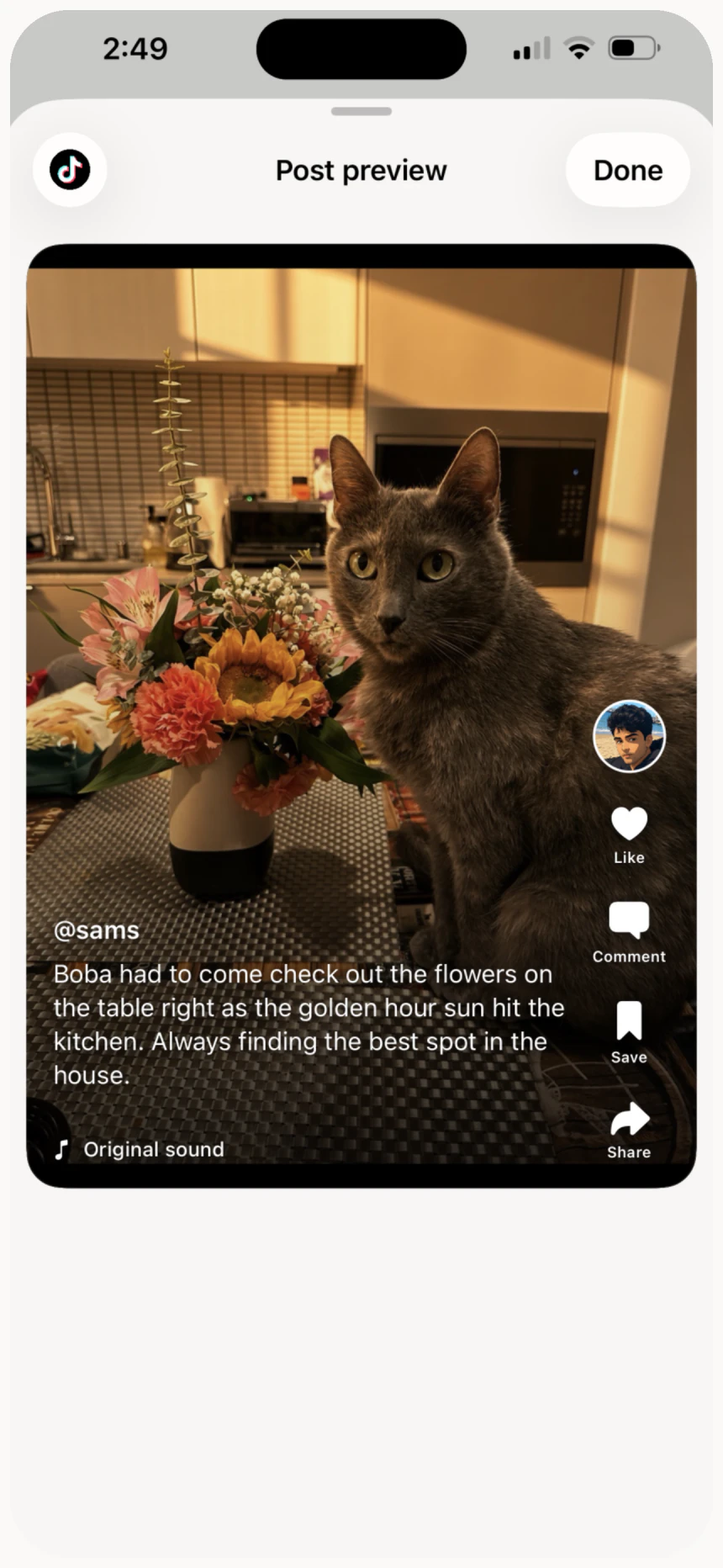 TikTok post preview in Zup